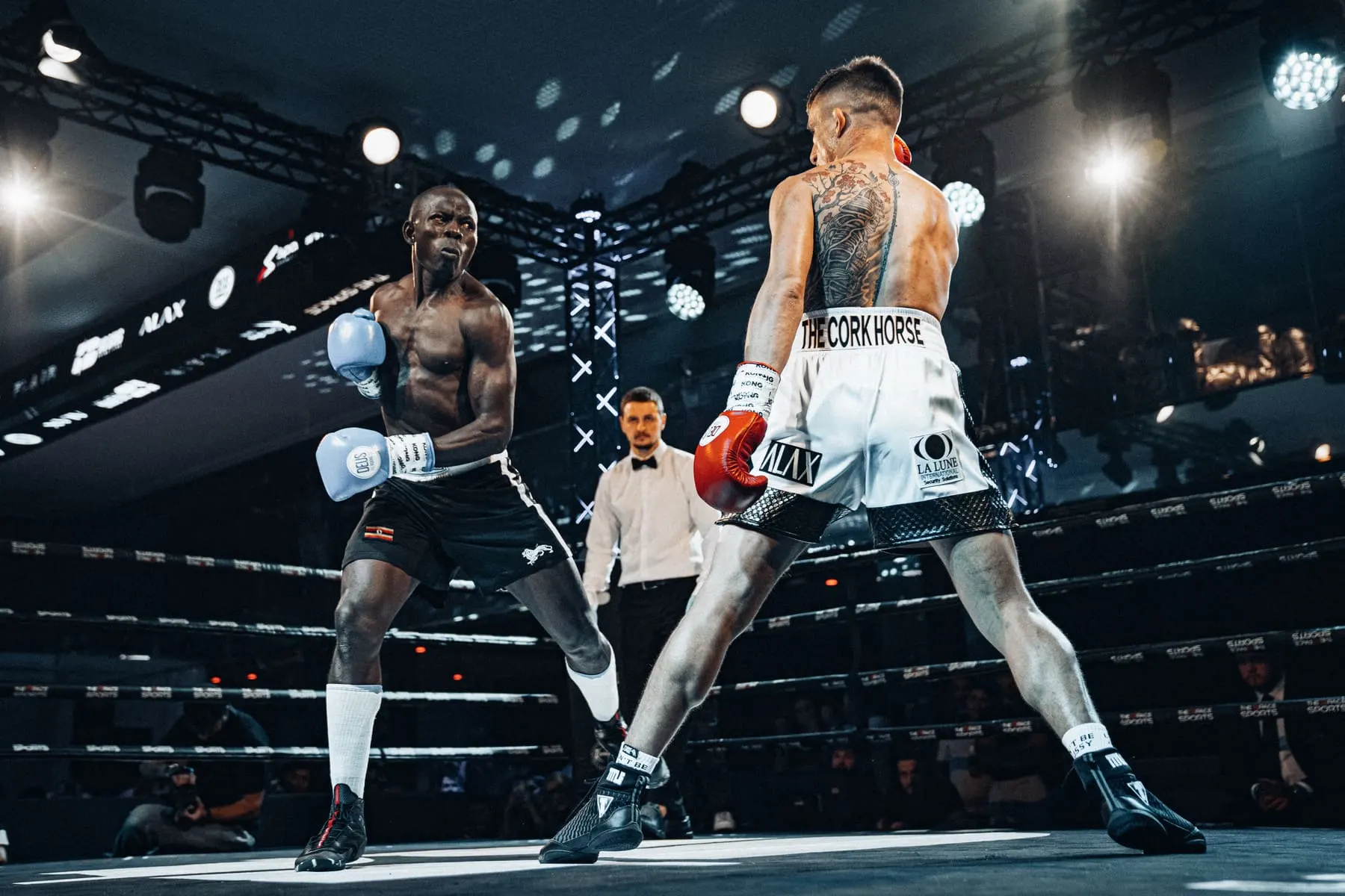 Big Bang Boxing — تصوير الرياضة والتدريب في دبي من Agency Verse (63 من 82)