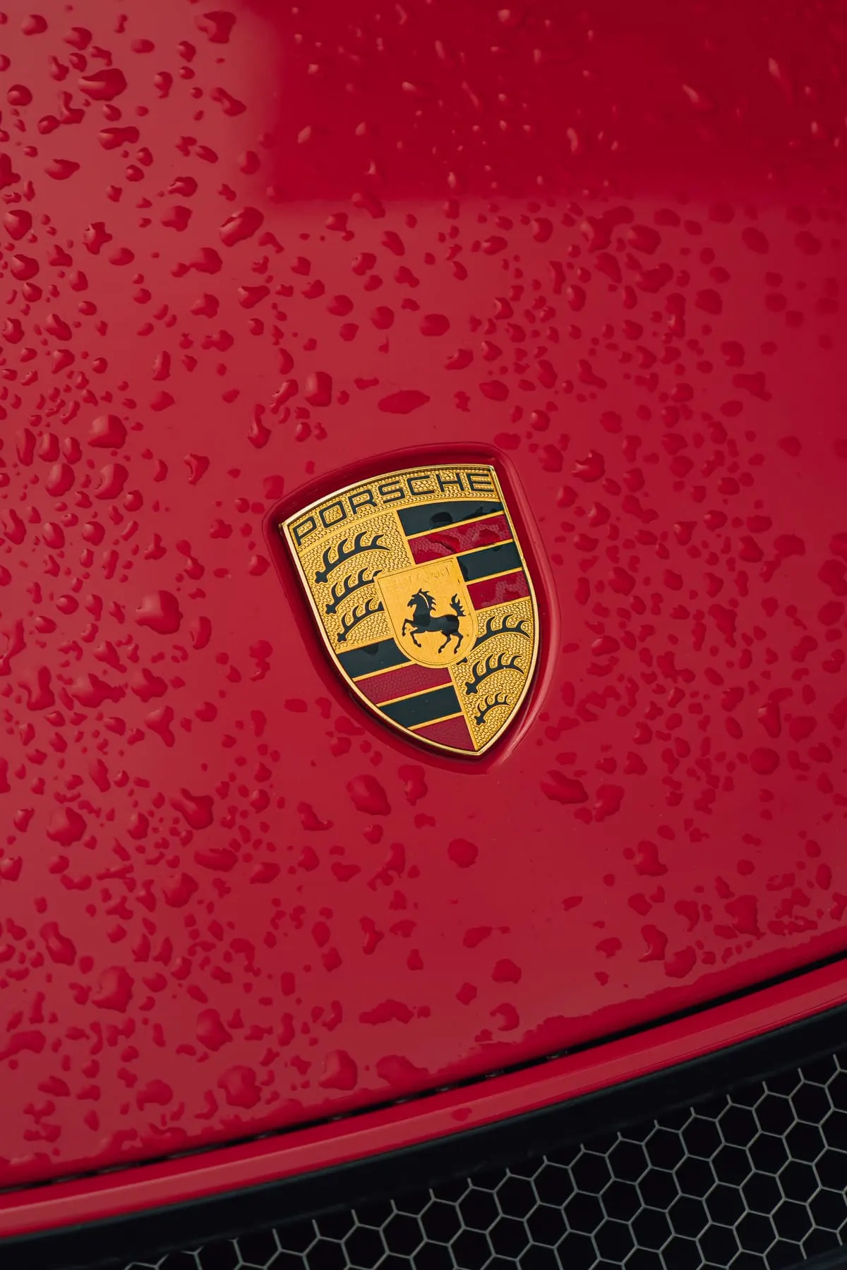 HighLife Club — supercar meet — تصوير السيارات من Agency Verse (13 من 17)