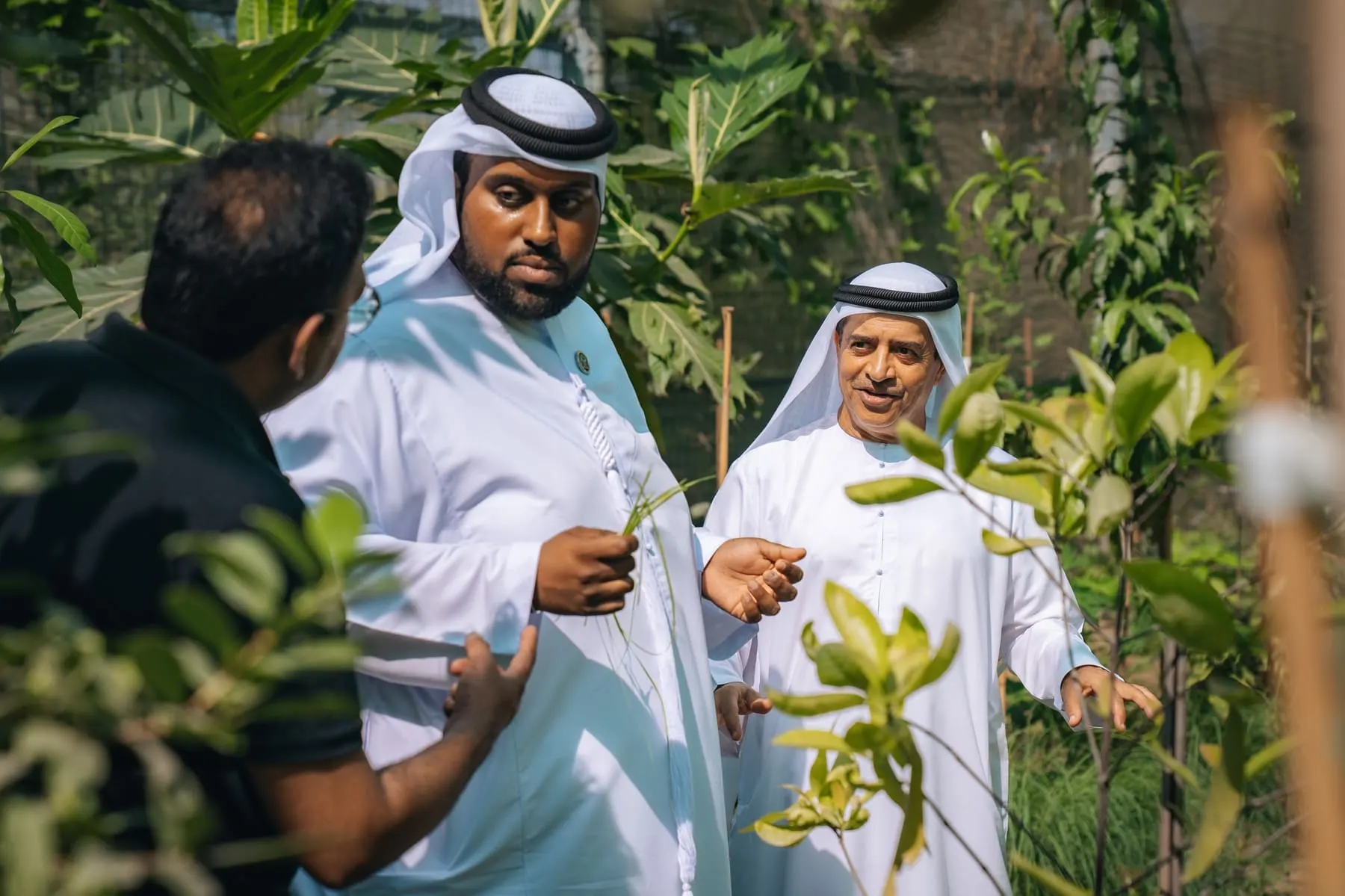 Wadi Dafta Plantation — royal visit — brand photography, Wadi Dafta Plantation, UAE — Agency Verse (12 of 26)